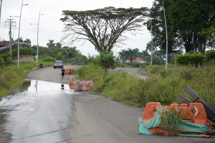 Pronto ‘alzaría vuelo’ la Avenida Los Colibríes