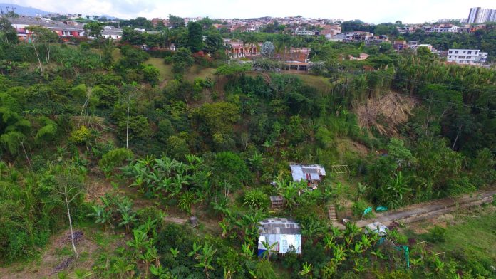 Fortalecen las acciones de protección del medio ambiente