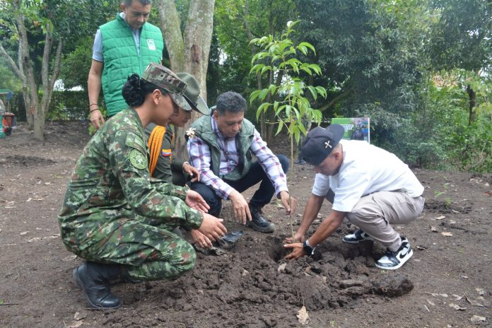Pereira ya cuenta con un centenar más de pulmones naturales