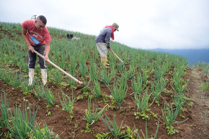 Voces sobre el crédito agrario