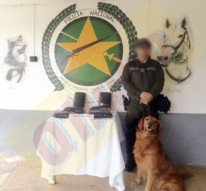 Rubén volvió a dañarles el negocio