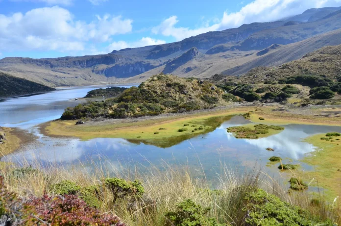 Título Humedales de Risaralda: patrimonio natural