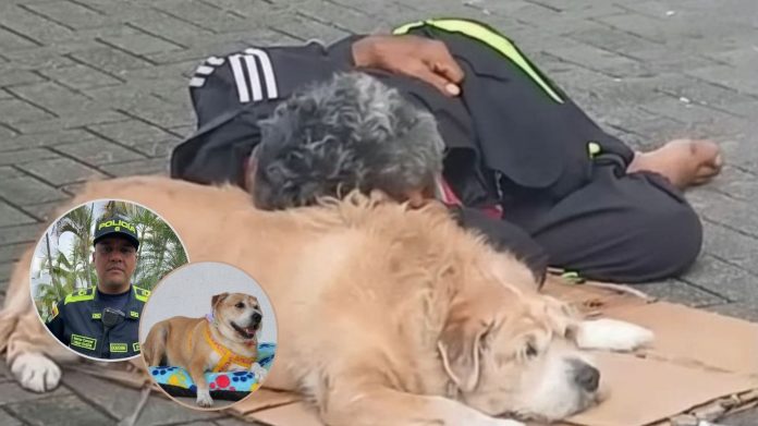 La Chela de Hugo ya encontró un hogar
