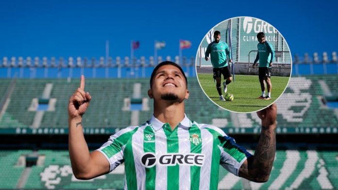 ‘Cucho’ Hernández vuelve a entrenar y se perfila para reaparecer con el Betis