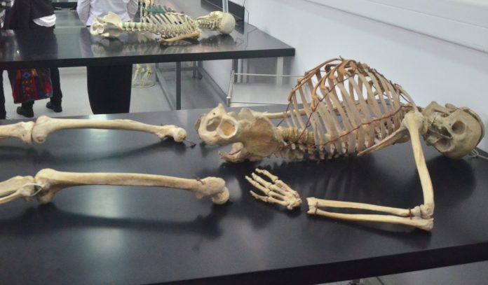 El eje tiene nuevo Laboratorio de Antropología Forense