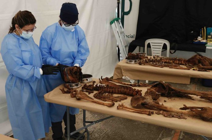 Laberinto forense con más de 2.500 restos por identificar